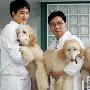 黄禹锡同事成功克隆出首条母狗（图） 动物世界