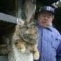 英国村庄发现“兔怪” 身材像狗一样大（图） 动物世界