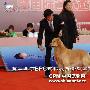首届北京BPC国际名犬邀请赛：金毛单独展4（图） 动物世界
