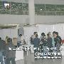 首届北京BPC国际名犬邀请赛：展会现场（图） 动物世界