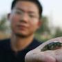 中國科考隊考察尼泊爾 發現一條特殊的魚（圖） 動物世界