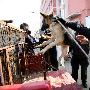 沈阳警方严查犬患 街头棒打无证犬（图） 动物世界