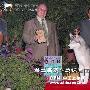 第二届爱斯达杯国际犬展：赏励照12（图） 动物世界