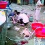店家当街宰猫 惹来吃猫争议（图） 动物世界