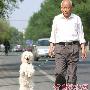 宠物狗能直立行走2公里（图） 动物世界