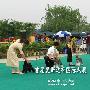 爱斯达杯国际犬展B场：更犬组（迷你雪纳瑞）4（图） 动物世界