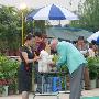 爱斯达杯国际犬展A场：玩具犬组（玩具贵妇）（图） 动物世界