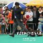 爱斯达杯国际犬展A场：运动犬组（美国可卡）1（图） 动物世界