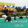 爱斯达杯国际犬展A场： 牧羊犬组决赛2（图） 动物世界