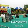爱斯达杯国际犬展A场： 牧羊犬组决赛4（图） 动物世界