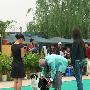 爱斯达杯国际犬展A场： 牧羊犬组（边境牧羊犬）1（图） 动物世界