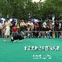 爱斯达杯国际犬展A场： 牧羊犬组（边境牧羊犬）2（图） 动物世界