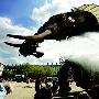 英国伦敦12米高机械大象引发恐慌（图） 动物世界