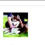 爱犬照片被冒用主人索赔一元（图） 动物世界