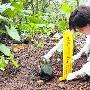 广州宠物坟墓日渐增多 宠物建坟收费3000元（图） 动物世界