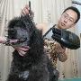 长春人给宠物花钱 挺冲！（图） 动物世界