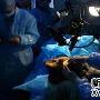 母狮接受白内障手术 麻醉后眨眼吓退女博士（图） 动物世界