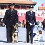 警犬巡逻天安门广场（图） 动物世界