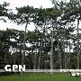 2004年法国巴黎宠物展(9)——园艺展（图） 动物世界