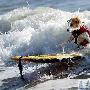 美国加州小狗玩冲浪经验老到潇洒十足（图） 动物世界