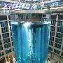 柏林五星级饭店大堂放鱼缸 电梯建在缸内（图） 动物世界