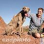辗转1400公里与犬团聚（图） 动物世界