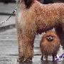 风雨中的避风港（图） 动物世界