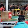 唐宋斗鸡旧俗重现老幼热赌 筹码最高50元（图） 动物世界