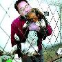 北京节前宠物托养所生意兴隆 每天收费几十元（图） 动物世界