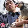 倒卧路旁的“怪鸟”原来是全球濒危物种（图） 动物世界