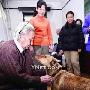 北京一義犬54天找回家事後續:大黃有了新家（圖） 動物世界