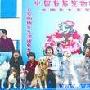 中国首只宠物模特队选拔赛在成都开场（图） 动物世界