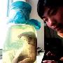 小猪长出大象鼻（图） 动物世界