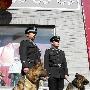 警犬走上津城街头（有文字稿）（图） 动物世界
