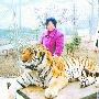 动物园集训东北虎 欲让老虎游客零距离（图） 动物世界