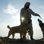 阿富汗斗犬训练师正在训狗（图） 动物世界
