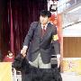 国都犬展-金榜犬王争霸赛1（图） 动物世界
