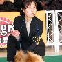 国都犬展-金榜犬王争霸赛2（图） 动物世界