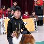 国都犬展-金榜犬王争霸赛7（图） 动物世界