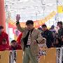 国都犬展-全场总冠军比赛6（图） 动物世界