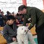 国都犬展-全场幼犬总冠军比赛2（图） 动物世界