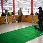 国都犬展-玩具犬组-迷你品犬（图） 动物世界