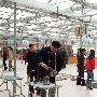 国都犬展-爹利犬组-迷你雪纳瑞1（图） 动物世界