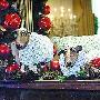 白宮聖誕“動物當家”總統寵物爭亮相（圖） 動物世界