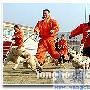 10只消防犬加入南京火灾及坍塌现场救援（图） 动物世界