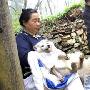 杭州南高峰跑出白狐狸（图） 动物世界