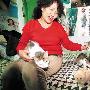 張阿姨三年節衣縮食收留31只流浪貓（圖） 動物世界