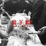 头带氧气罩腿挂输液瓶 动物园给母狼做剖腹产（图） 动物世界