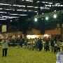 直击法国农业博览会(8)----参展犬集体展示（图） 动物世界