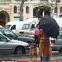 法国的狗和狗的法国(5)----雨中漫步（图） 动物世界